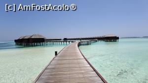 [P87]  -- <small>// FĂRĂ DESCRIERE</small> » foto by elenaadina
 - 
<span class="allrVoted glyphicon glyphicon-heart hidden" id="av1518390"></span>
<a class="m-l-10 hidden" id="sv1518390" onclick="voting_Foto_DelVot(,1518390,29256)" role="button">șterge vot <span class="glyphicon glyphicon-remove"></span></a>
<a id="v91518390" class=" c-red"  onclick="voting_Foto_SetVot(1518390)" role="button"><span class="glyphicon glyphicon-heart-empty"></span> <b>LIKE</b> = Votează poza</a> <img class="hidden"  id="f1518390W9" src="/imagini/loader.gif" border="0" /><span class="AjErrMes hidden" id="e1518390ErM"></span>