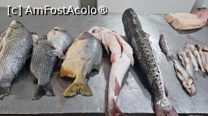 [P59] la Mercado 4 » foto by robert
 - 
<span class="allrVoted glyphicon glyphicon-heart hidden" id="av1522652"></span>
<a class="m-l-10 hidden" id="sv1522652" onclick="voting_Foto_DelVot(,1522652,29288)" role="button">șterge vot <span class="glyphicon glyphicon-remove"></span></a>
<a id="v91522652" class=" c-red"  onclick="voting_Foto_SetVot(1522652)" role="button"><span class="glyphicon glyphicon-heart-empty"></span> <b>LIKE</b> = Votează poza</a> <img class="hidden"  id="f1522652W9" src="/imagini/loader.gif" border="0" /><span class="AjErrMes hidden" id="e1522652ErM"></span>