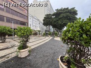 [P42] Plante decorative de pe promenadă » foto by AZE
 - 
<span class="allrVoted glyphicon glyphicon-heart hidden" id="av1523682"></span>
<a class="m-l-10 hidden" id="sv1523682" onclick="voting_Foto_DelVot(,1523682,29290)" role="button">șterge vot <span class="glyphicon glyphicon-remove"></span></a>
<a id="v91523682" class=" c-red"  onclick="voting_Foto_SetVot(1523682)" role="button"><span class="glyphicon glyphicon-heart-empty"></span> <b>LIKE</b> = Votează poza</a> <img class="hidden"  id="f1523682W9" src="/imagini/loader.gif" border="0" /><span class="AjErrMes hidden" id="e1523682ErM"></span>