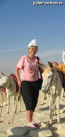 [P18] magarusul portocaliu si eu in chip de...nu stiu exact, dar am, cica, turban » foto by nicoletass
 - 
<span class="allrVoted glyphicon glyphicon-heart hidden" id="av222264"></span>
<a class="m-l-10 hidden" id="sv222264" onclick="voting_Foto_DelVot(,222264,29302)" role="button">șterge vot <span class="glyphicon glyphicon-remove"></span></a>
<a id="v9222264" class=" c-red"  onclick="voting_Foto_SetVot(222264)" role="button"><span class="glyphicon glyphicon-heart-empty"></span> <b>LIKE</b> = Votează poza</a> <img class="hidden"  id="f222264W9" src="/imagini/loader.gif" border="0" /><span class="AjErrMes hidden" id="e222264ErM"></span>