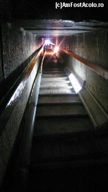 [P24] luminita de la capatul tunelului s-a facut mica, mititica... » foto by nicoletass
 - 
<span class="allrVoted glyphicon glyphicon-heart hidden" id="av222287"></span>
<a class="m-l-10 hidden" id="sv222287" onclick="voting_Foto_DelVot(,222287,29302)" role="button">șterge vot <span class="glyphicon glyphicon-remove"></span></a>
<a id="v9222287" class=" c-red"  onclick="voting_Foto_SetVot(222287)" role="button"><span class="glyphicon glyphicon-heart-empty"></span> <b>LIKE</b> = Votează poza</a> <img class="hidden"  id="f222287W9" src="/imagini/loader.gif" border="0" /><span class="AjErrMes hidden" id="e222287ErM"></span>