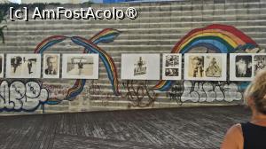 [P18] toleranță » foto by robert
 - 
<span class="allrVoted glyphicon glyphicon-heart hidden" id="av1527820"></span>
<a class="m-l-10 hidden" id="sv1527820" onclick="voting_Foto_DelVot(,1527820,29322)" role="button">șterge vot <span class="glyphicon glyphicon-remove"></span></a>
<a id="v91527820" class=" c-red"  onclick="voting_Foto_SetVot(1527820)" role="button"><span class="glyphicon glyphicon-heart-empty"></span> <b>LIKE</b> = Votează poza</a> <img class="hidden"  id="f1527820W9" src="/imagini/loader.gif" border="0" /><span class="AjErrMes hidden" id="e1527820ErM"></span>