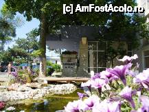 fotografii din vacanta la Sunquest Hotel