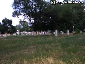 [P06 <small>[FOTO OFICIALĂ, DE PREZENTARE:] </small>]  -- <small>// FĂRĂ DESCRIERE</small>