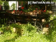 fotografii din vacanta la Pensiunea Casa Călin