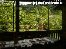 fotografii din vacanta la Pensiunea Casa Călin