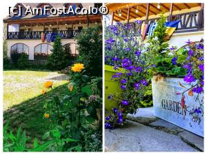 fotografii din vacanta la Pensiunea / Hanul Curtea Veche [Tohanu Nou]