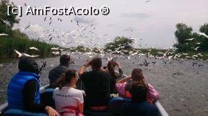fotografii din vacanta la Pensiunea Inima Deltei