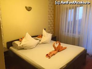 fotografii din vacanta la Complex turistic Alpina-Casi