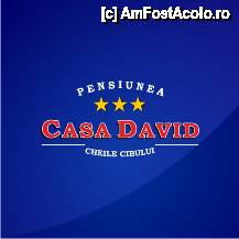 [P01 <small>[FOTO OFICIALĂ, DE PREZENTARE:] </small>] Pensiunea Casa David, logo