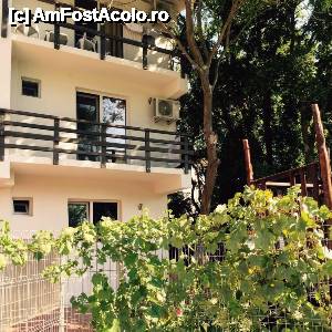 [P11 <small>[FOTO OFICIALĂ, DE PREZENTARE:] </small>]  -- <small>// FĂRĂ DESCRIERE</small>