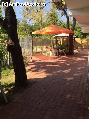 [P08 <small>[FOTO OFICIALĂ, DE PREZENTARE:] </small>]  -- <small>// FĂRĂ DESCRIERE</small>