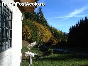fotografii din vacanta la Cabana Pietricica