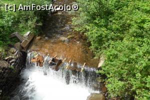 fotografii din vacanta la Cabana Arion