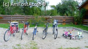 fotografii din vacanta la Pensiunea Silba [Vad]