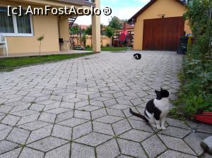 [P02 <small>[FOTO OFICIALĂ, DE PREZENTARE:] </small>] Zona de parcare, terasa Confort